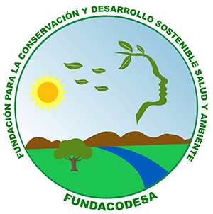 Logo Fundacion Codesa